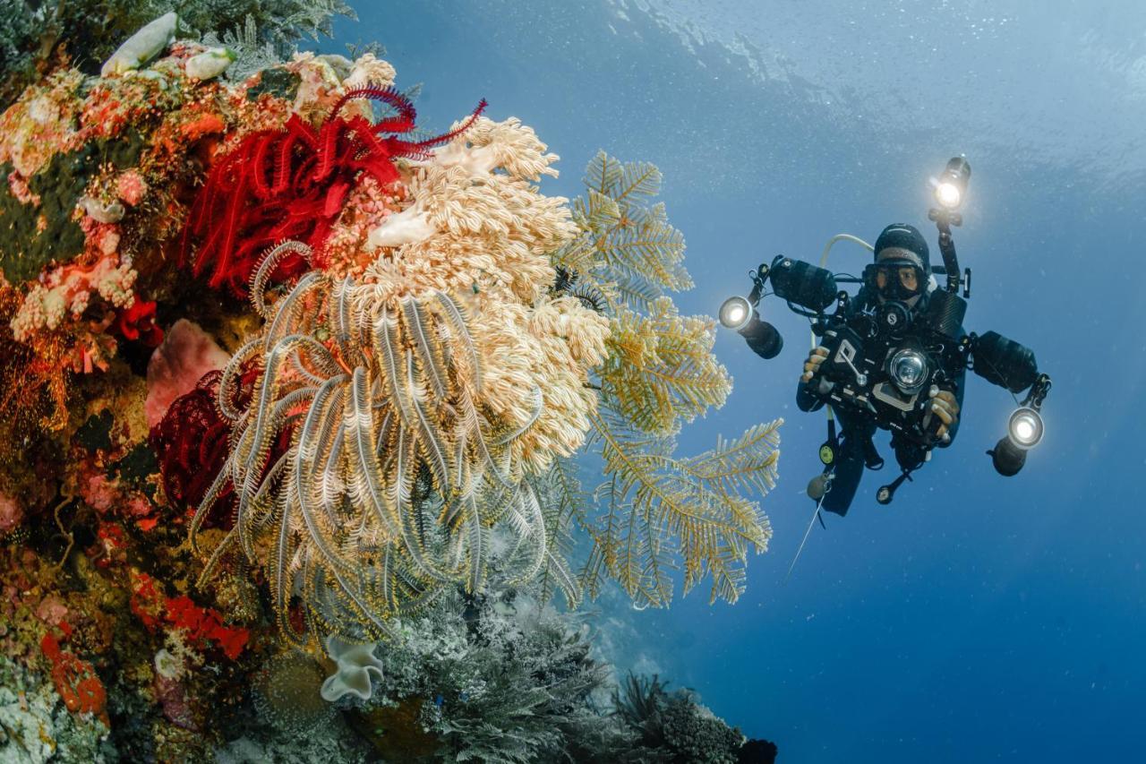 The Three P Beach Resort & Dive Center Agnay Экстерьер фото